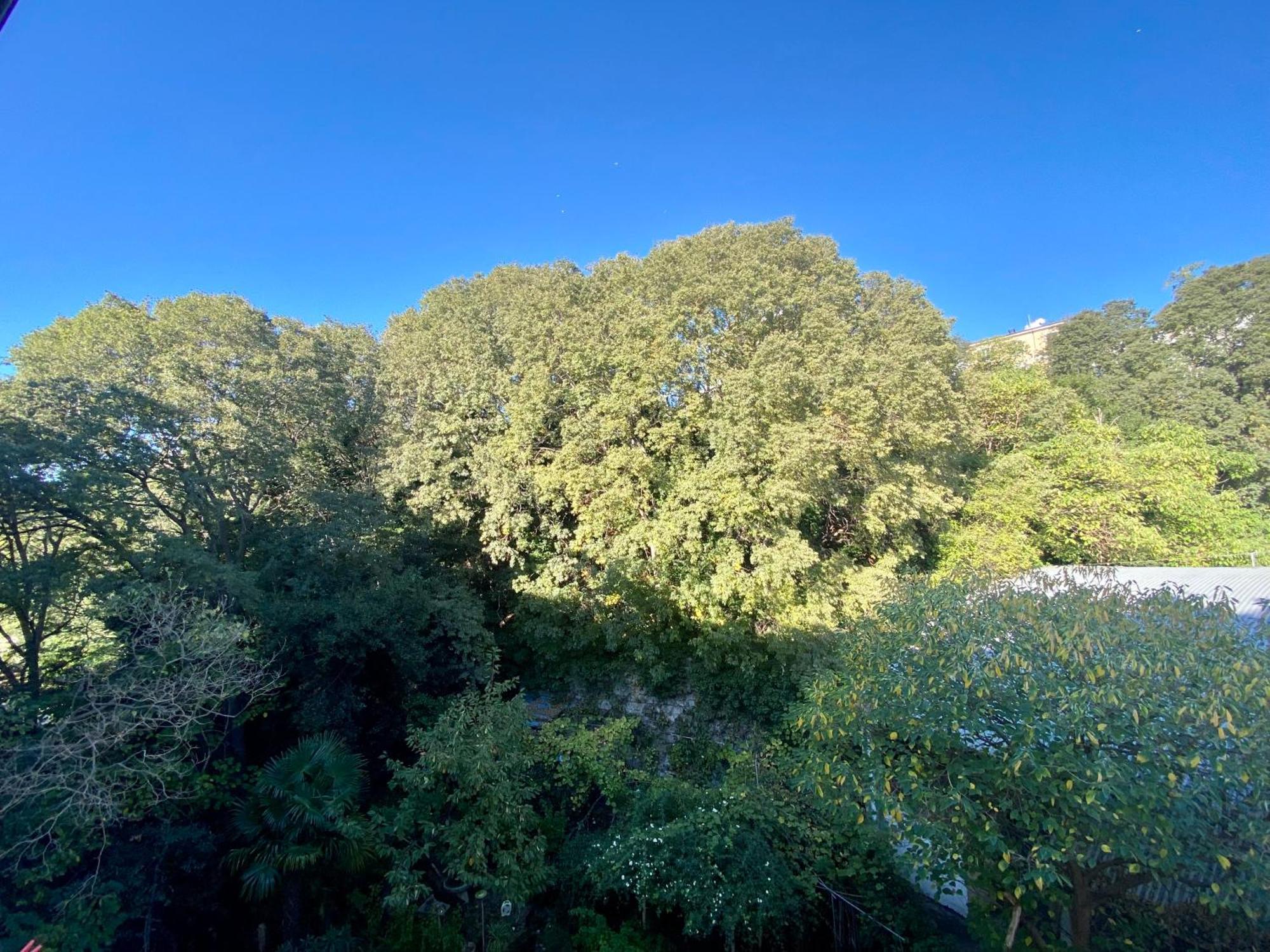 טריאסטה B&B Porto Vivo מראה חיצוני תמונה